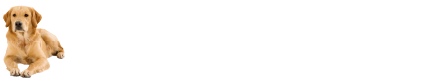 Customising solutions for Barret David Wilson Homes